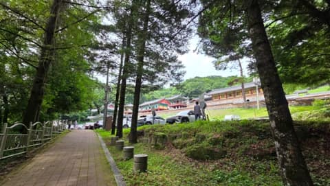 황장목숲길 사진 7