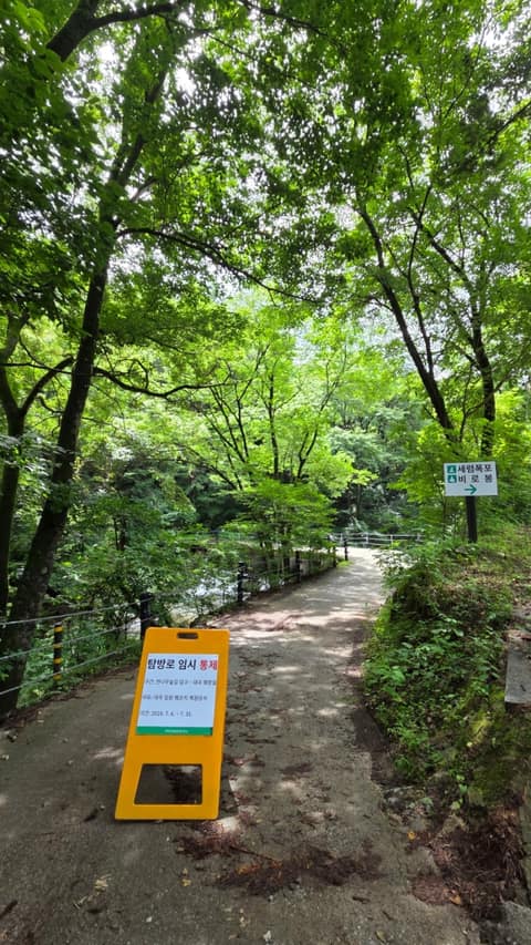 황장목숲길 사진 10