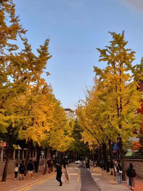 정동길 사진 2