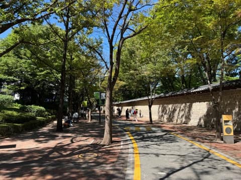 정동길 사진 3
