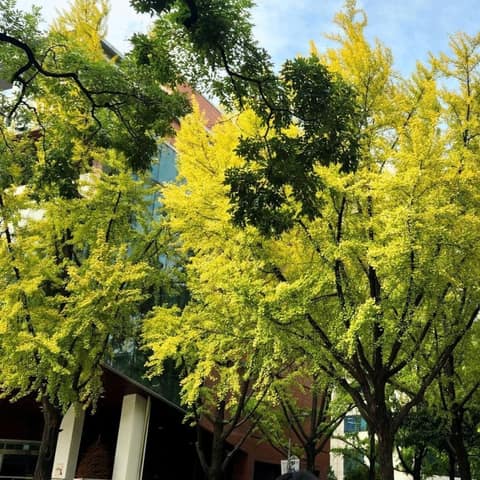 정동길 사진 7