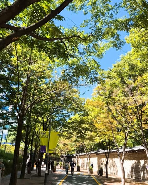 덕수궁돌담길 사진 1