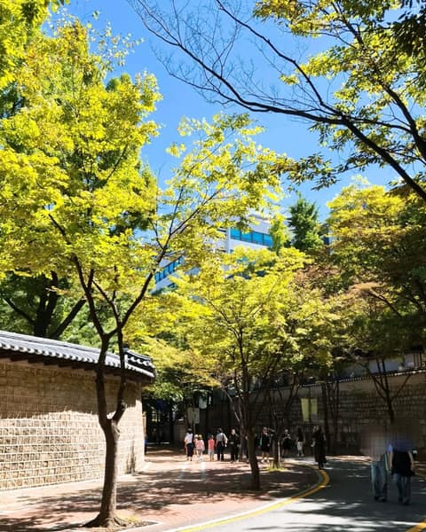 덕수궁돌담길 사진 3