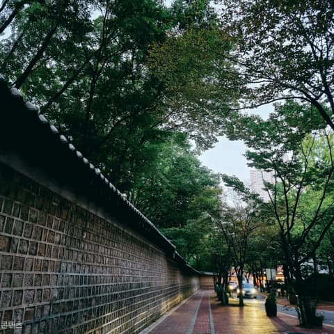 덕수궁돌담길 사진 6
