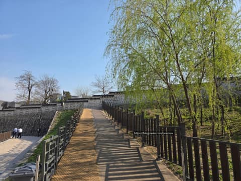 덕수궁돌담길 사진 7