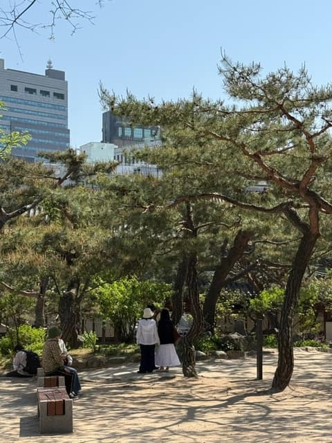 덕수궁돌담길 사진 8