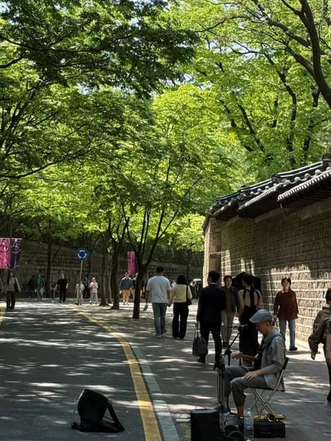 덕수궁돌담길 사진 10