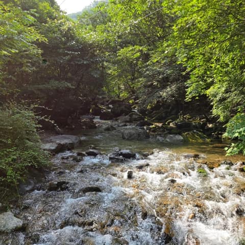 경기둘레길가평24코스 사진 2
