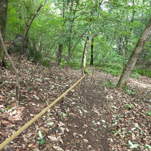 경기둘레길가평24코스 사진 10