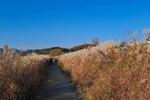 대청호오백리길5구간(백골산성낭만길) 사진 2