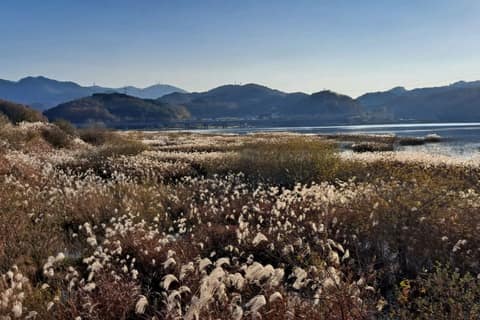 대청호오백리길5구간(백골산성낭만길) 사진 3