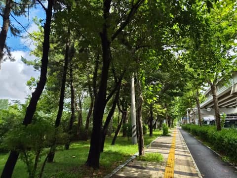 인천둘레길7코스(해안길) 사진 2