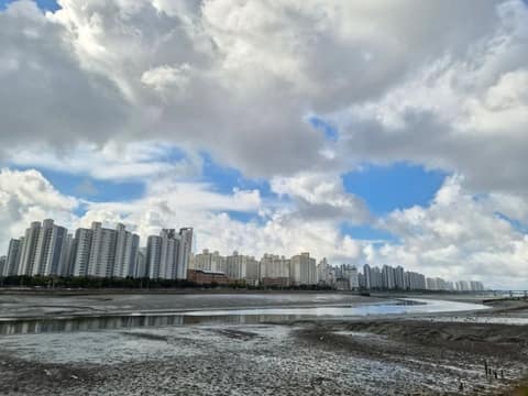 인천둘레길7코스(해안길) 사진 8