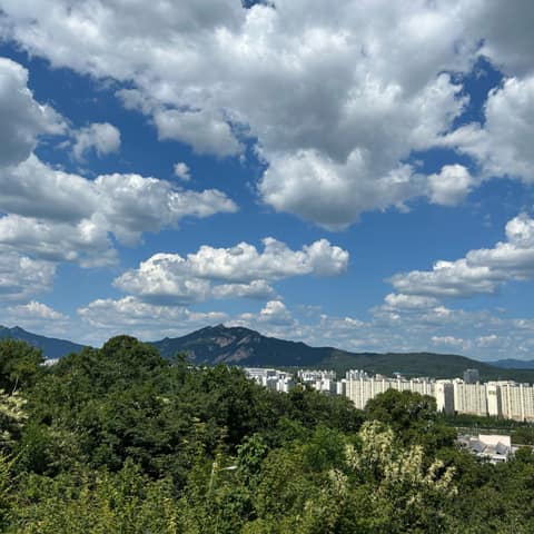 영축산순환산책로 사진 2