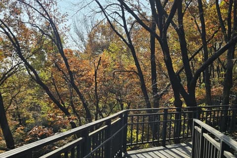 영축산순환산책로 사진 3