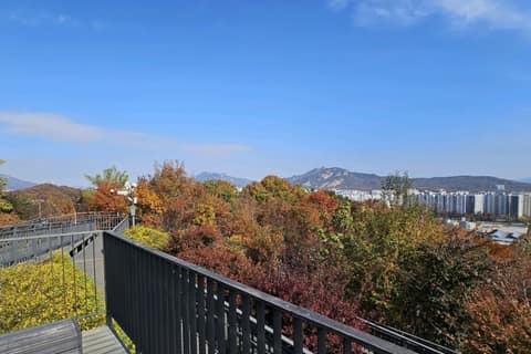 영축산순환산책로 사진 4