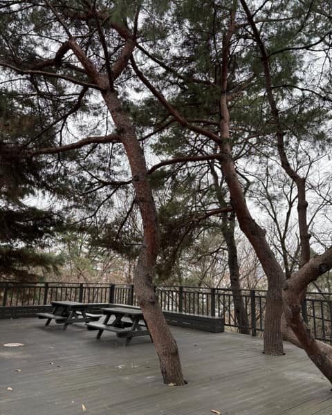 영축산순환산책로 사진 5