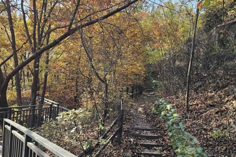 영축산순환산책로 사진 6