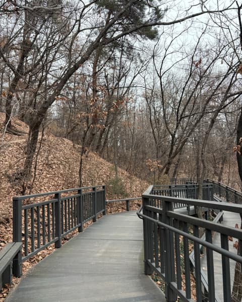 영축산순환산책로 사진 7