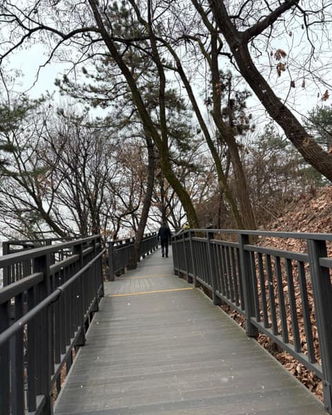 영축산순환산책로 사진 8