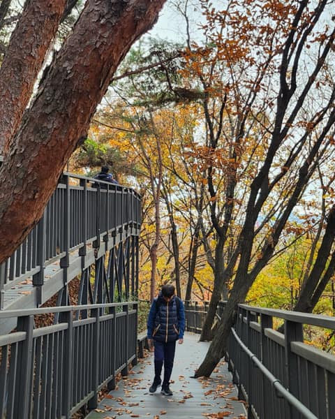 영축산순환산책로 사진 10
