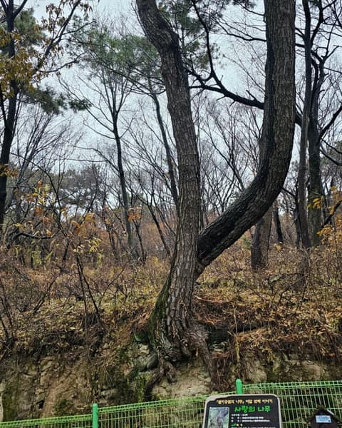 인천둘레길13코스(월미도) 사진 6