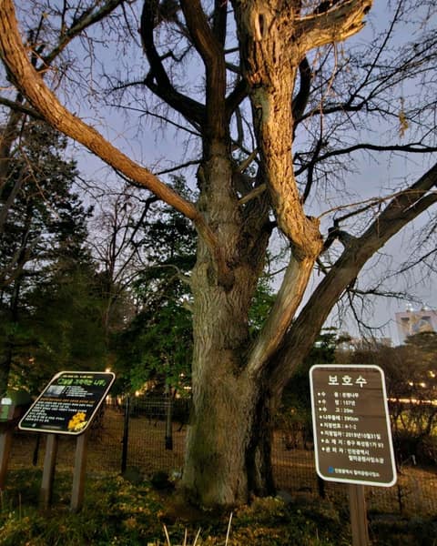 인천둘레길13코스(월미도) 사진 9