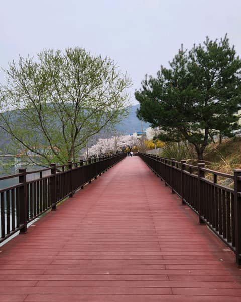 느림보강물길 사진 4
