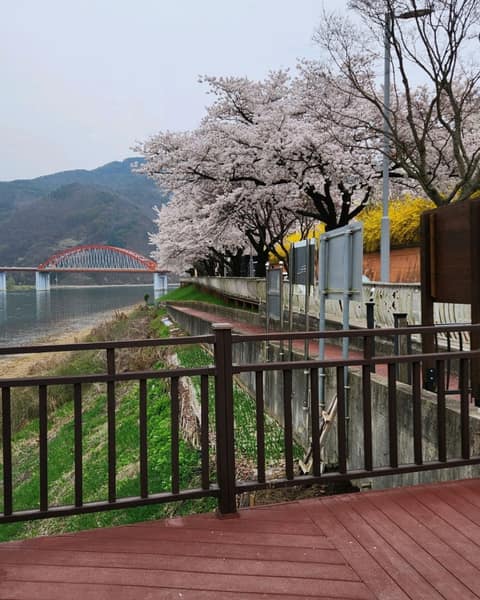 느림보강물길 사진 9