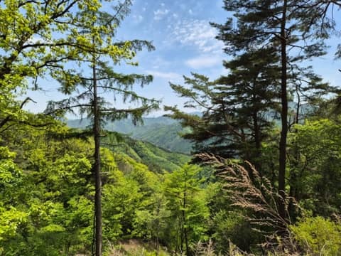치악산둘레길6코스(매봉산자락길) 사진 1
