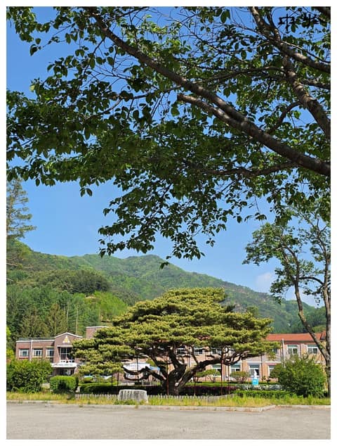 치악산둘레길6코스(매봉산자락길) 사진 3