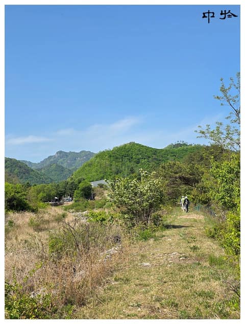 치악산둘레길6코스(매봉산자락길) 사진 4