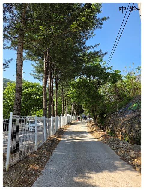치악산둘레길6코스(매봉산자락길) 사진 6