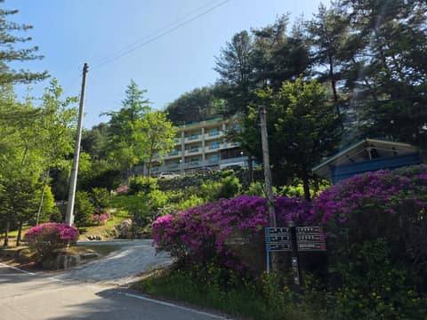 치악산둘레길6코스(매봉산자락길) 사진 9