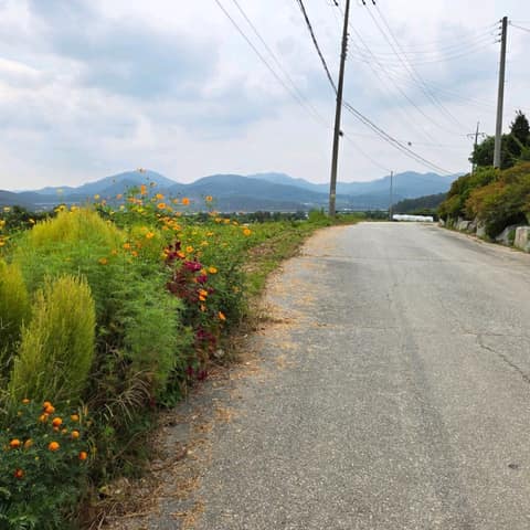 경기둘레길양평30코스 사진 10