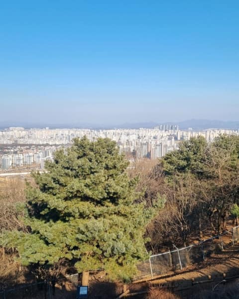심학산둘레길 사진 7