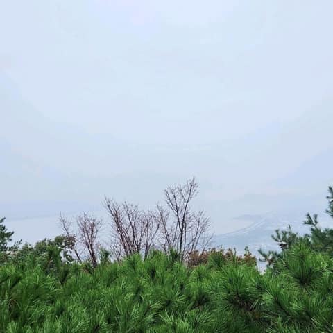 심학산둘레길 사진 8