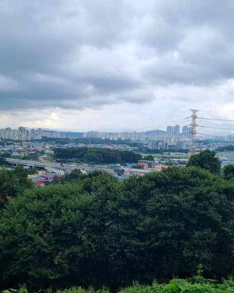 심학산둘레길 사진 10