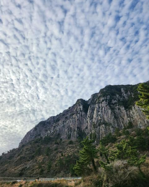 산방산용머리해안지질트레일C코스 사진 2