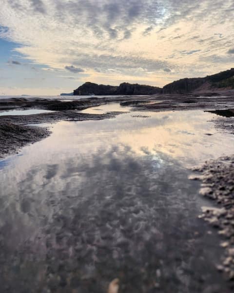 산방산용머리해안지질트레일C코스 사진 8