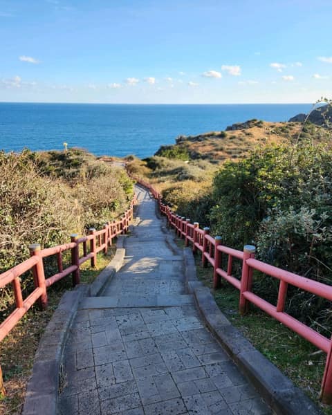 산방산용머리해안지질트레일C코스 사진 9