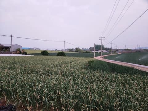 서해랑길21코스 사진 2