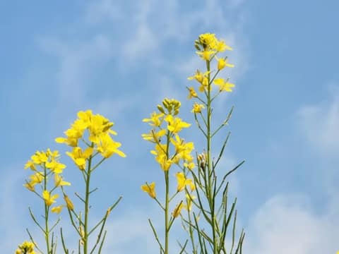 서해랑길21코스 사진 5