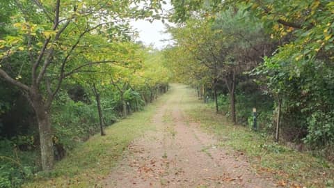서해랑길99코스 사진 1
