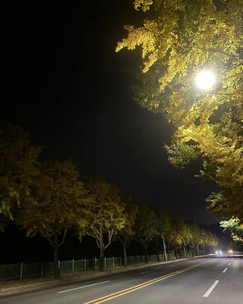팔공산 사진 13