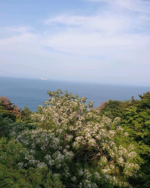 남파랑길20코스 사진 5