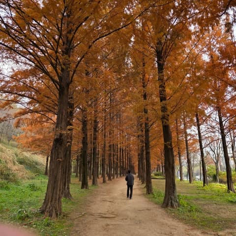 서울둘레길15코스(노을하늘공원) 사진 3