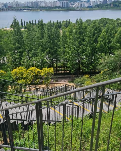 서울둘레길15코스(노을하늘공원) 사진 4