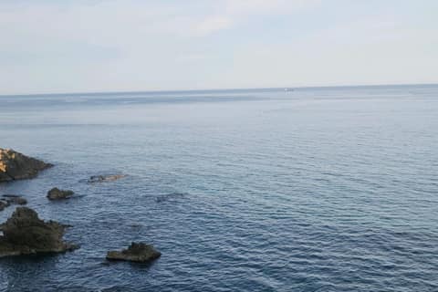 이사부길A코스 사진 3