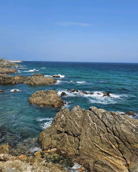 이사부길A코스 사진 4
